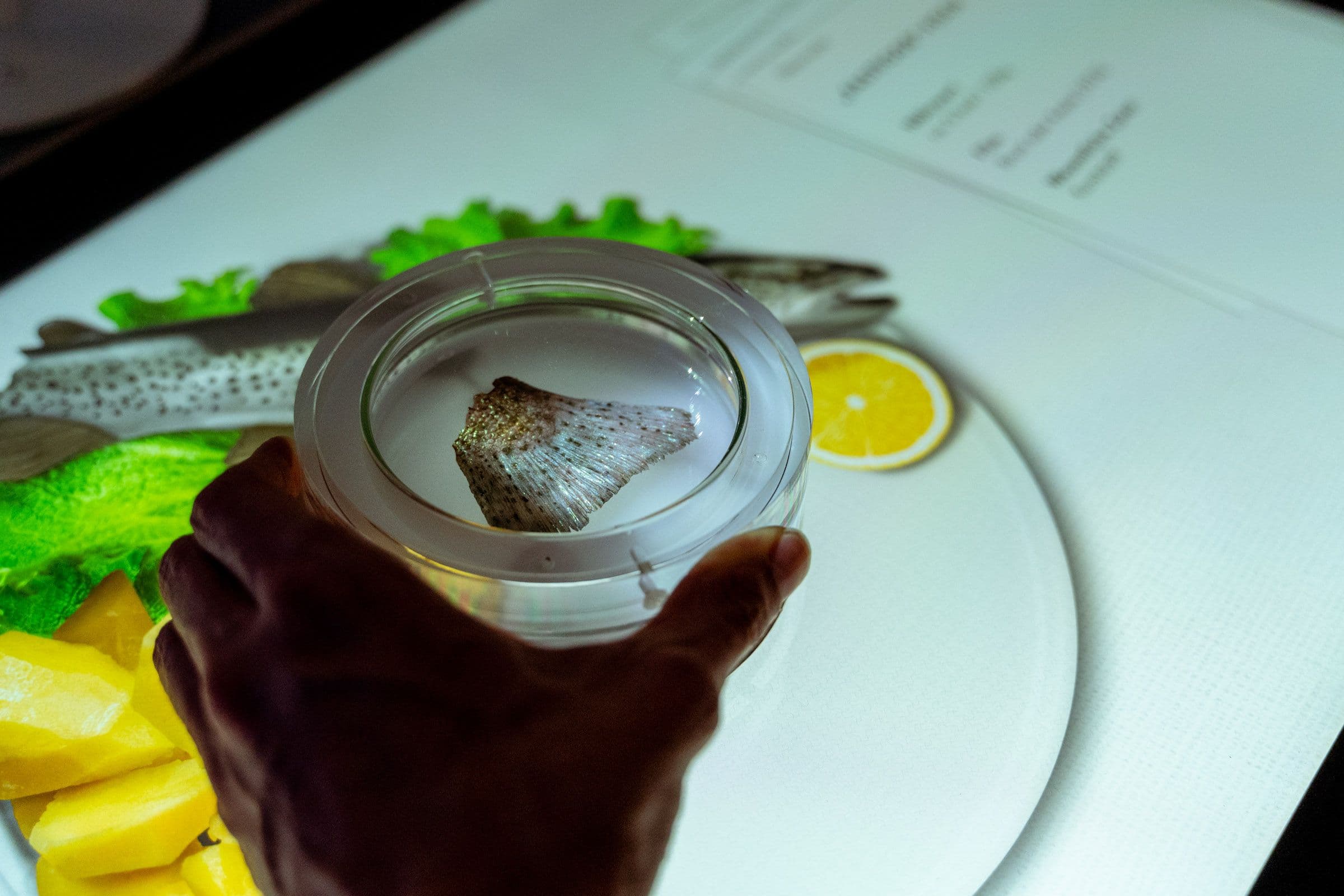 Station Served up: Interactive petri dish